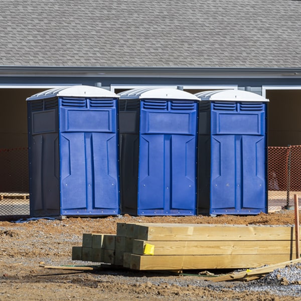 are there different sizes of portable restrooms available for rent in Le Roy